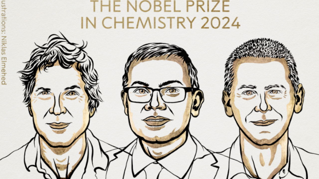 El premio Nobel de Química 2024 fue otorgado a David Baker, Demis Hassabis y John Jumper