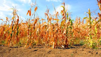 Advierten que el fenómeno &quot;La Niña&quot; podría generar graves consecuencias para los próximos meses en nuestro país