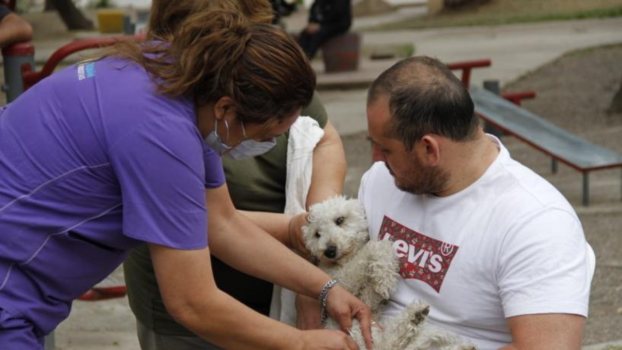 La provincia habilitó el nuevo servicio de turnos virtuales para castración de mascotas  