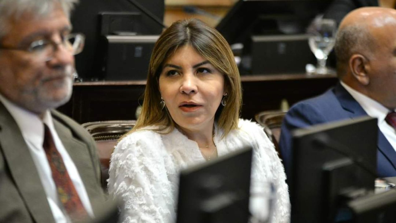 Mendoza: &quot;Vengo trabajando desde que asumí constantemente en todo lo relacionado a mi tarea legislativa&quot;