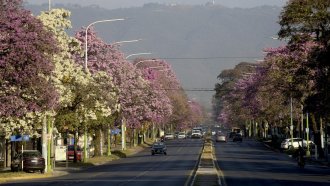 El fin de semana estará soleado y con bastante humedad 