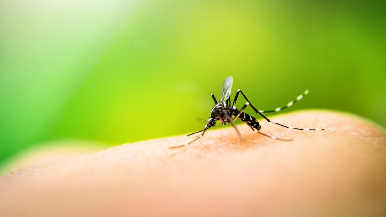 Campaña de fumigación contra el Dengue en Atahona