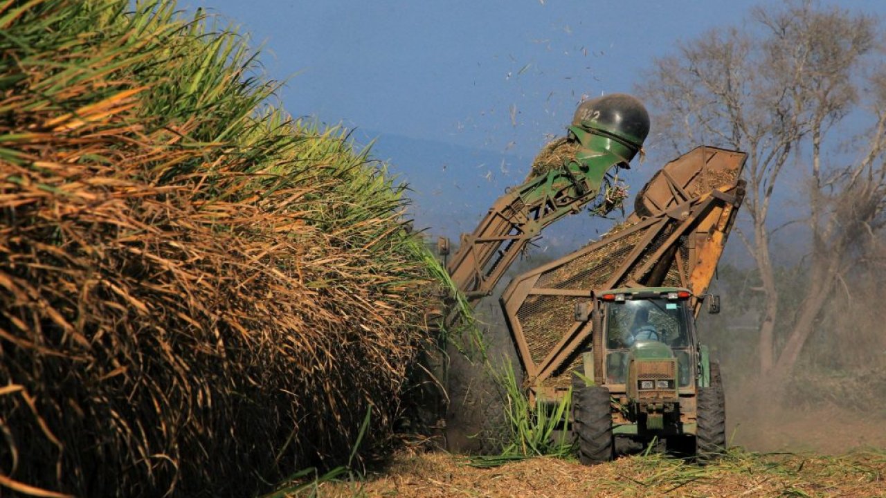 La zafra azucarera 2024 finalizó en Tucumán con mayor volumen de producción