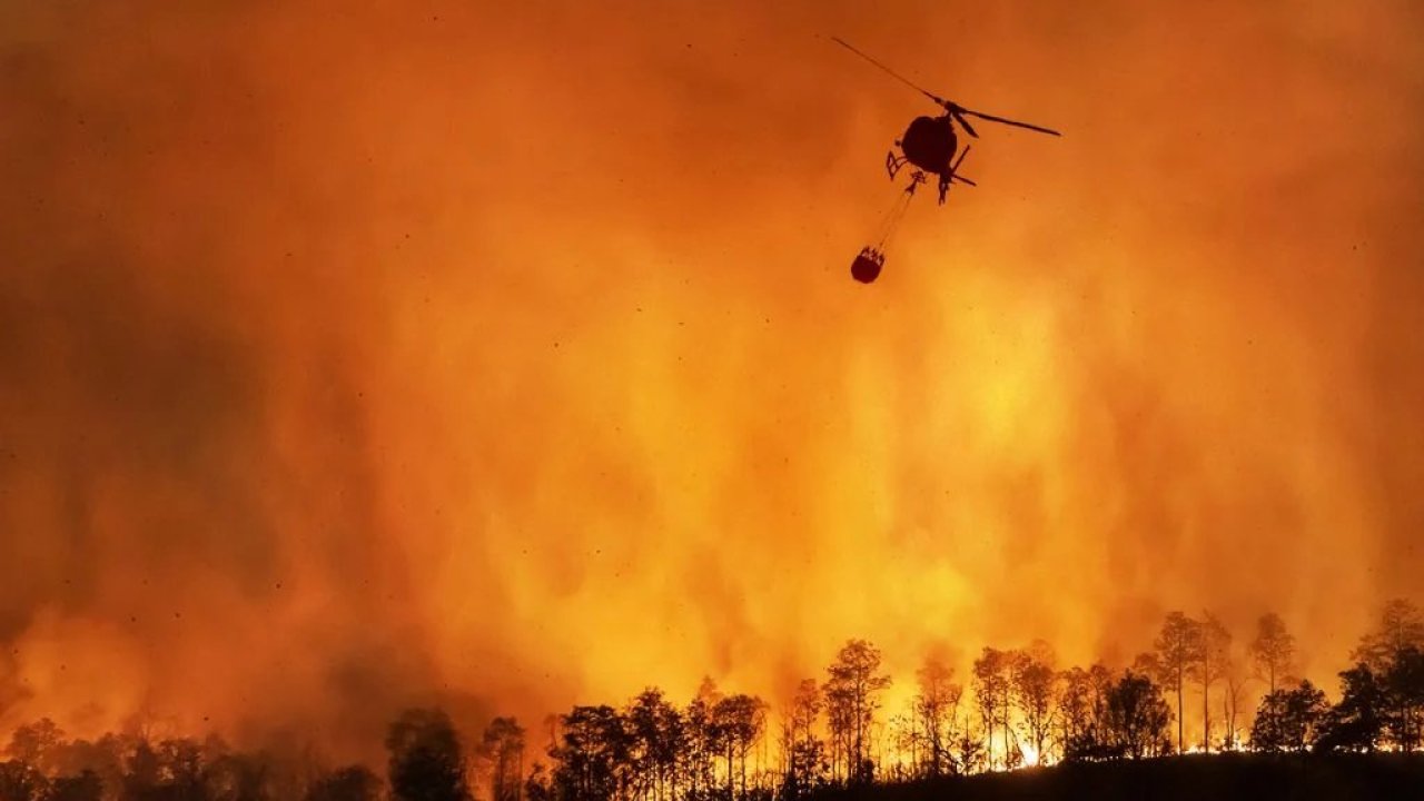 El número de muertos por los incendios en Los Ángeles asciende a 16 personas