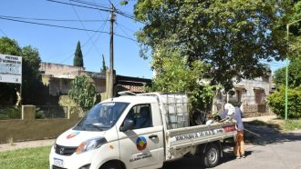 La Ciudad del Limón continúa con la forestación 