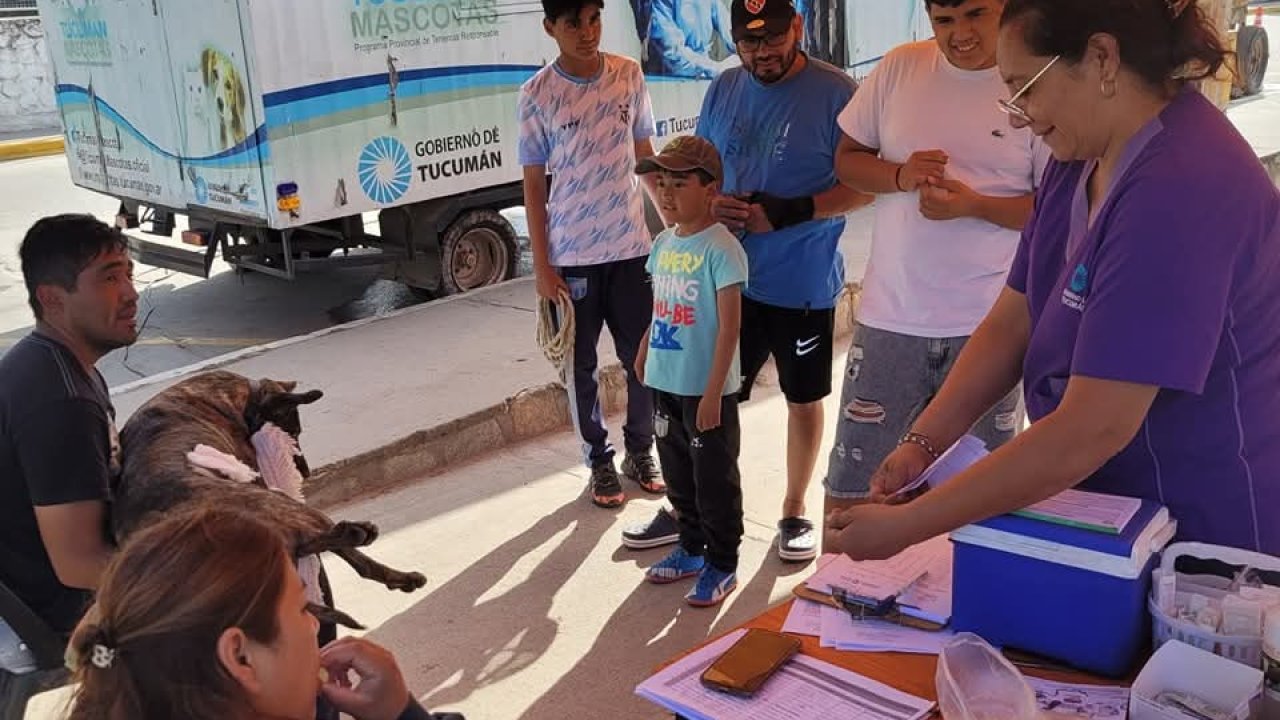 El Operativo Tucumán Mascotas llega a El Mollar 