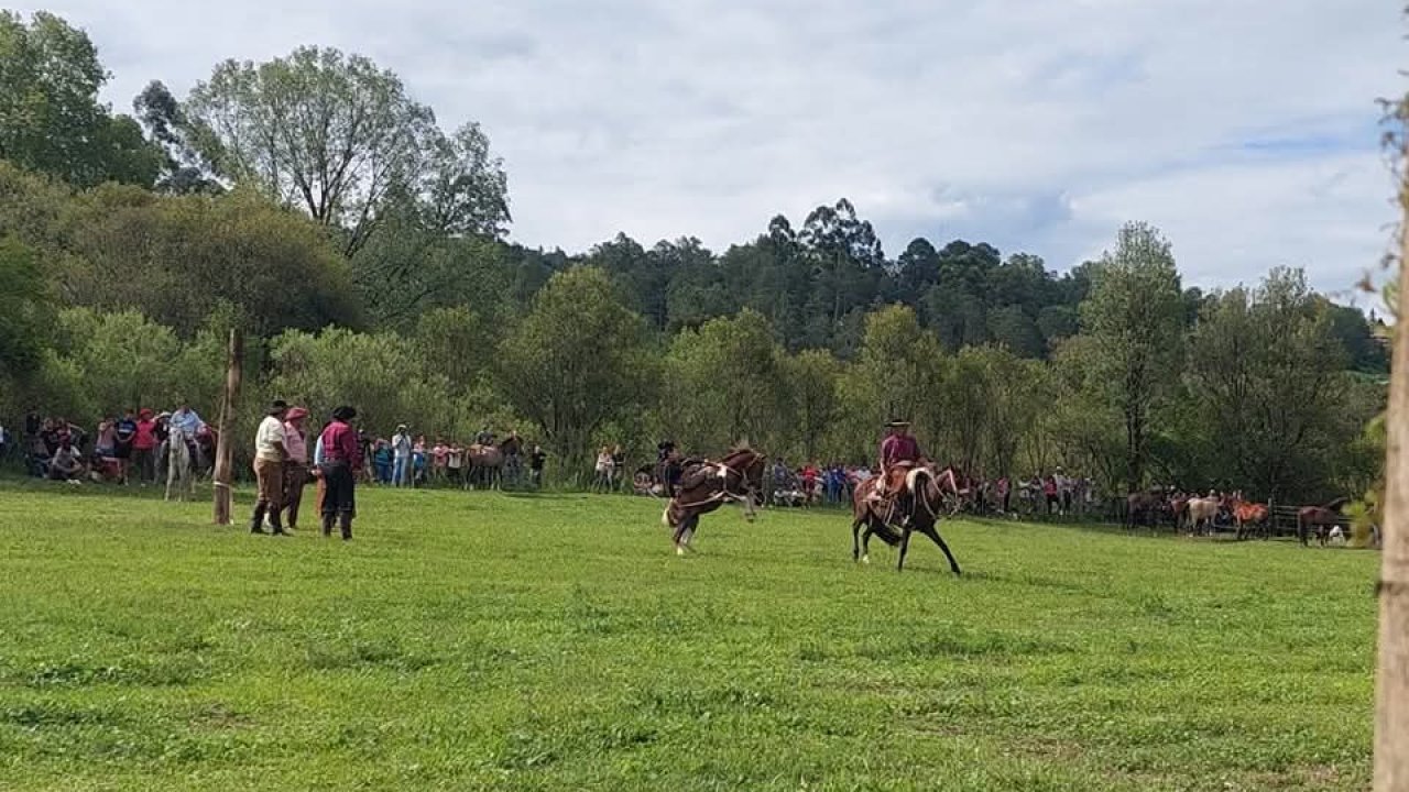 Raco: XXIX° Fiesta del Caballo Cerreño