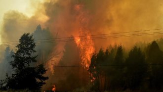 Chile combate más de 20 incendios forestales activos