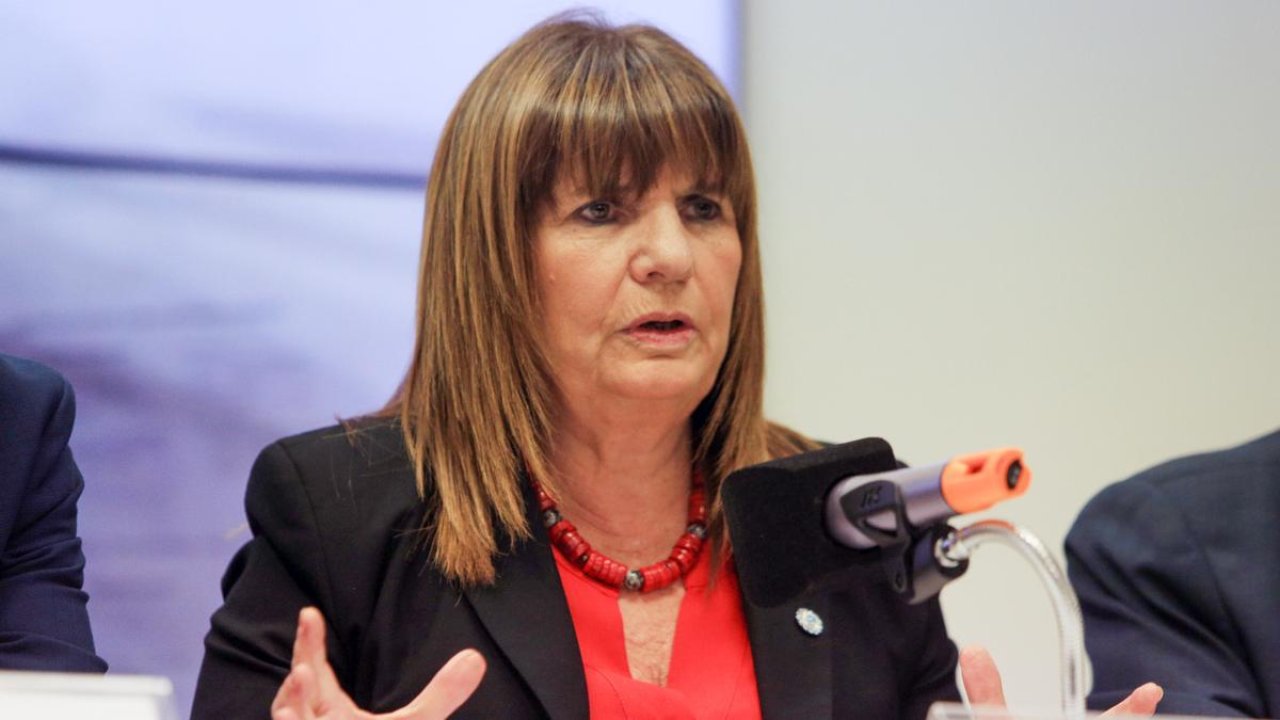 Patricia Bullrich defendió a Javier Milei: &quot;Quieren bajar al Presidente&quot;