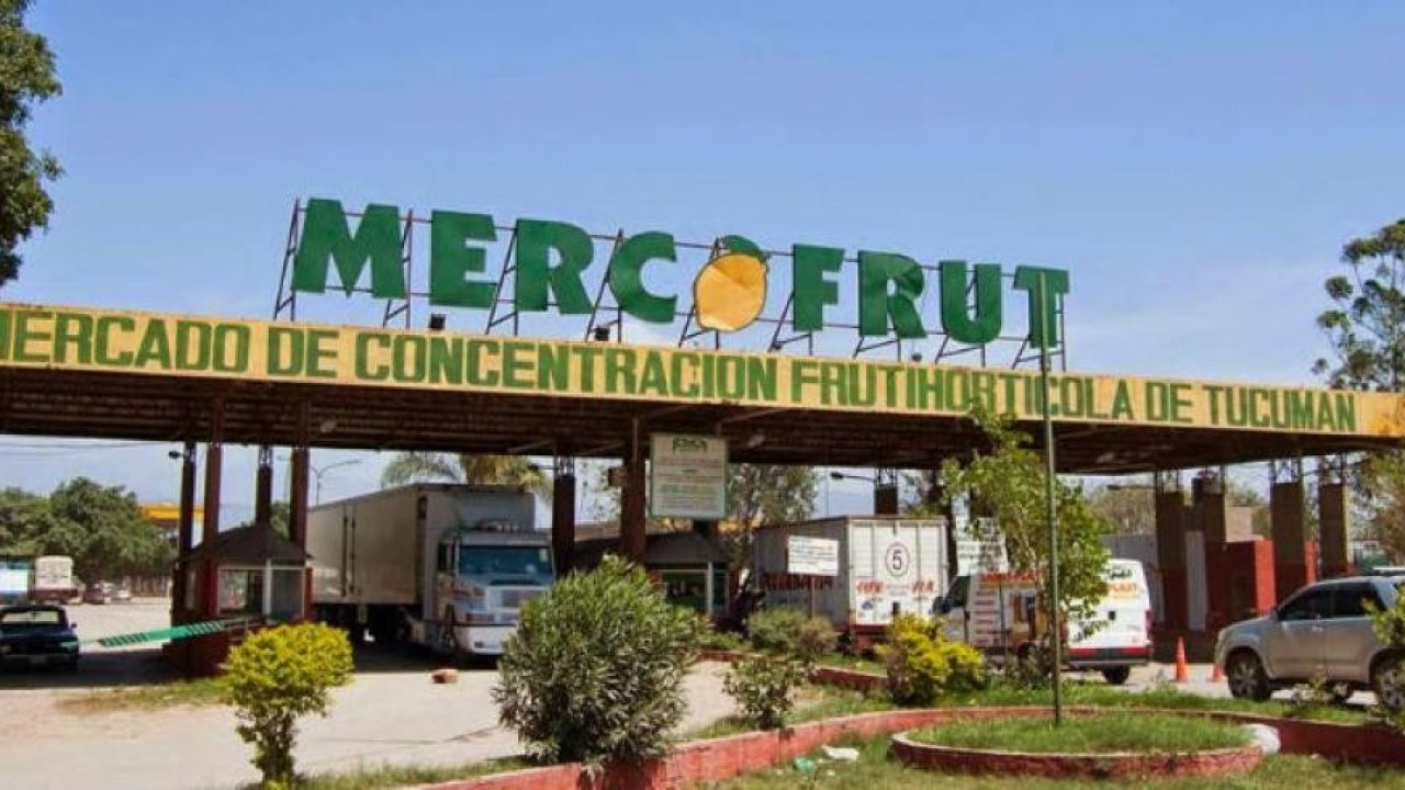 La Municipalidad propone jerarquizar el Mercofrut