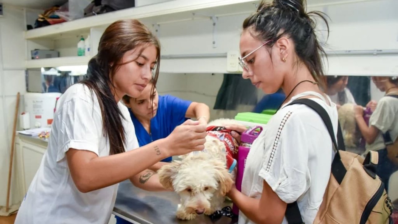 &quot;Un vete en tu barrio&quot; continúa recorriendo la ciudad: dónde estará