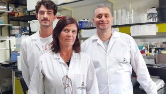 Científicos argentinos descubrieron cómo la inflamación contribuye al Alzheimer y sus etapas