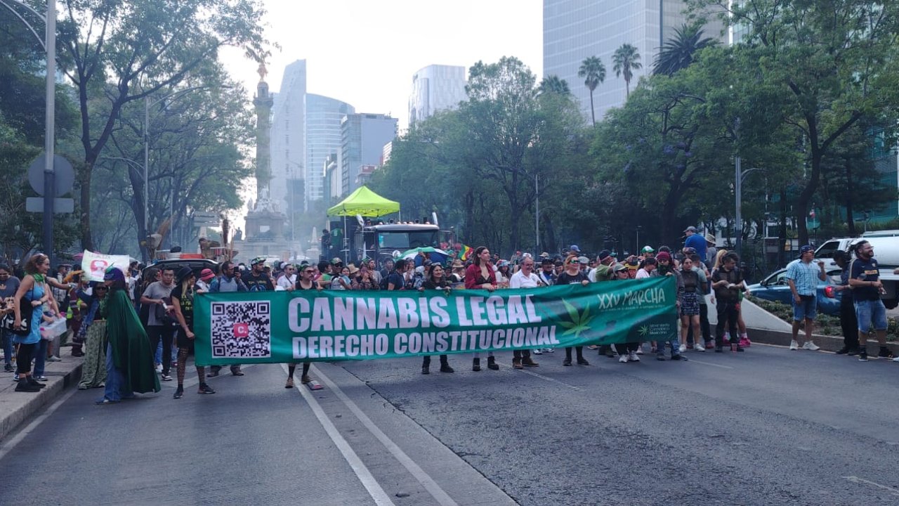 Marcha Mundial de la Marihuana: piden una nueva ley de drogas