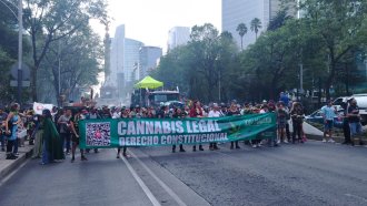 Marcha Mundial de la Marihuana: piden una nueva ley de drogas