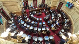 Ficha Limpia cayó en el Congreso