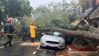 Temporal en Misiones: hay dos heridos y graves daños
