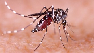 &quot;Cortá con el dengue&quot;: dónde estará el operativo esta semana