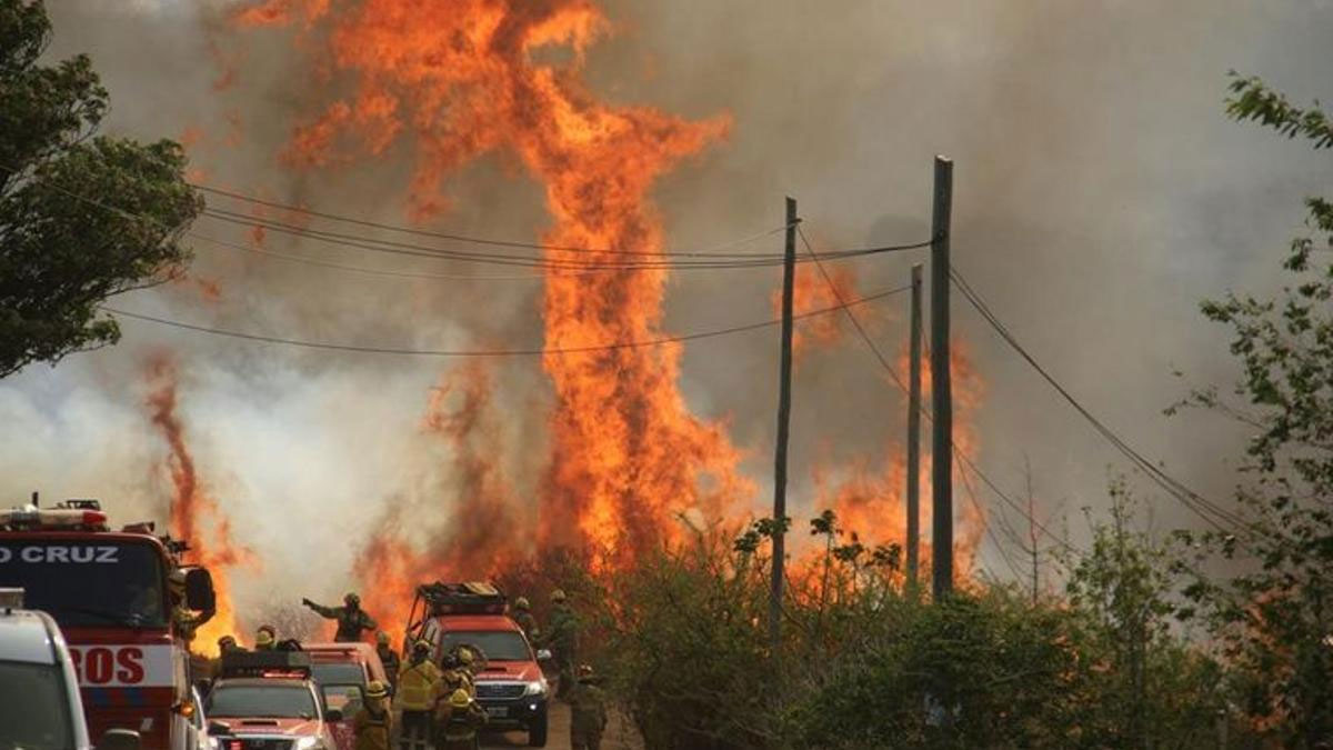 Incendios en Córdoba: el Senado aprobó la emergencia ambiental por 180 días