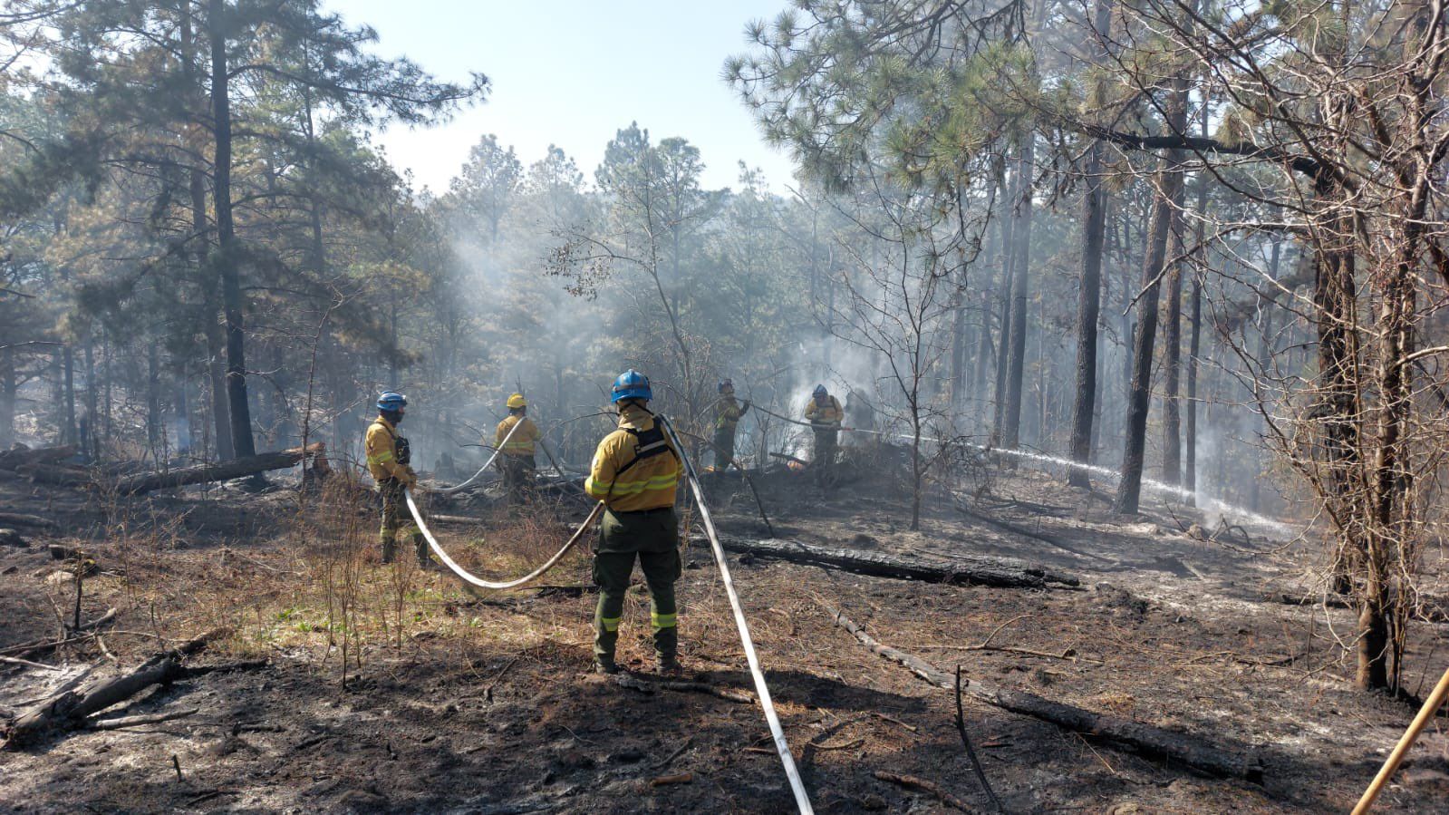 El gobierno de Córdoba anunció un programa para restaurar los daños causados por los incendios