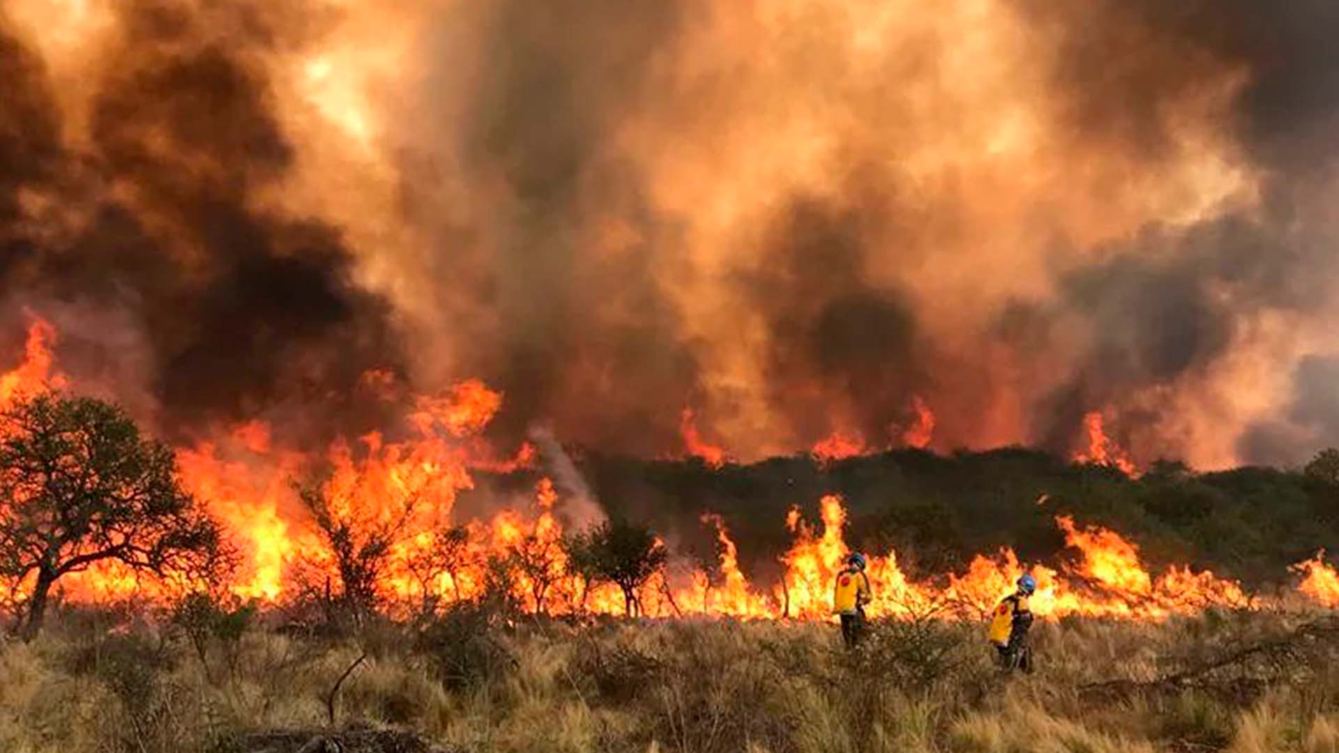 Incendios en Córdoba: el fuego en Valle de Punilla fue controlado