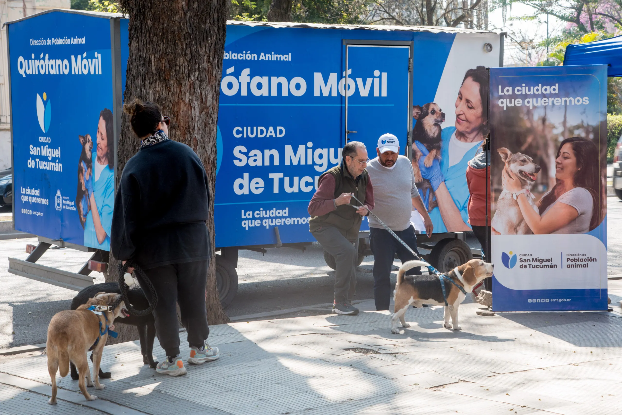 Todos los jueves, el municipio llevará a cabo una campaña de vacunación y desparasitación de mascotas