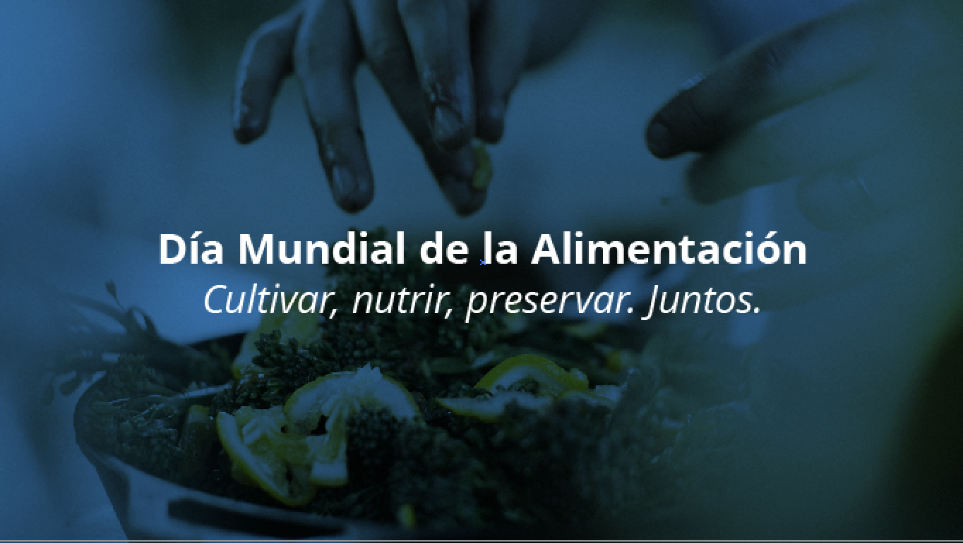 alimentacion 2020