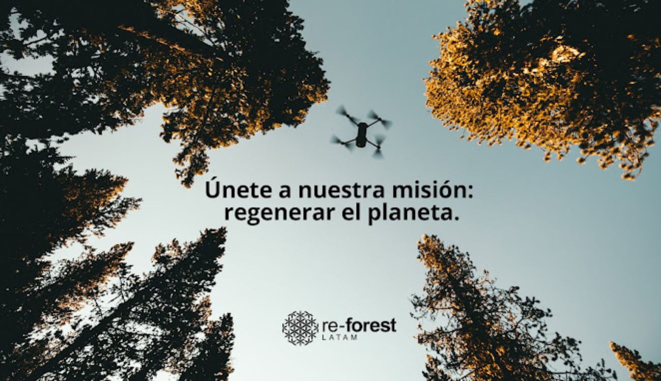 reforest latam