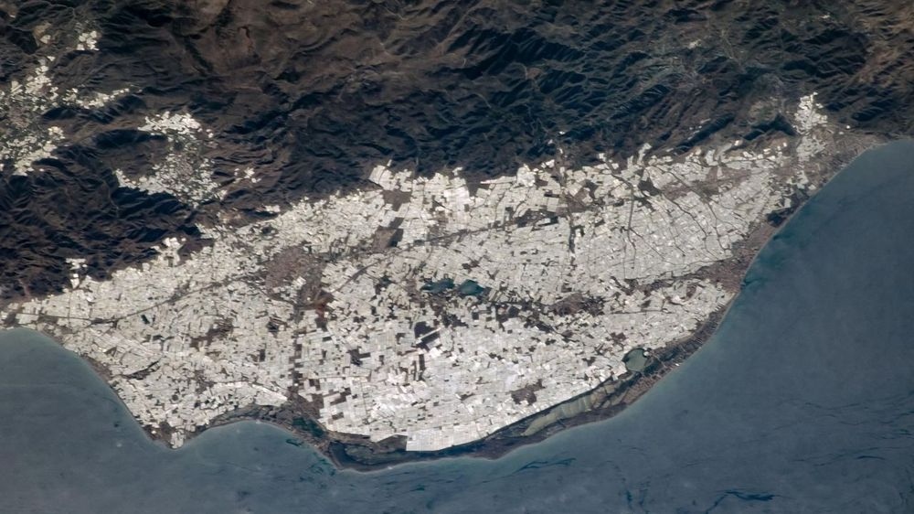 invernadero espana